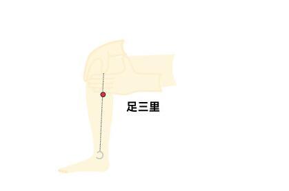 端午吃粽子肚子脹氣難受怎么辦？教你配3種茶去油解膩促消化